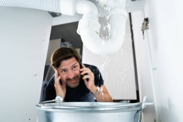  Machesney Park, IL Plumbing Pros
