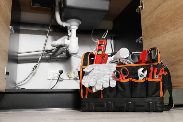 Best Clogged Drain Plumber  in Machesney Park, IL