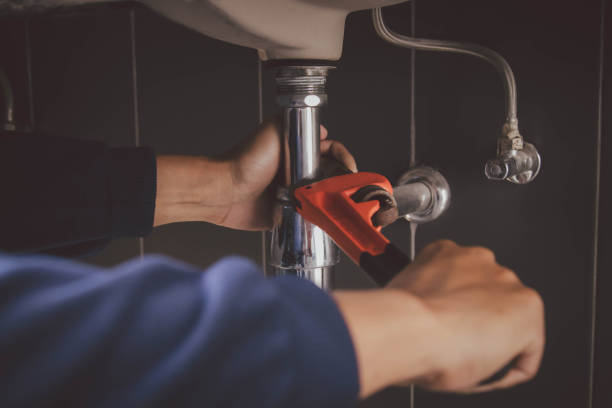 Best Plumbing Inspection Services  in Machesney Park, IL